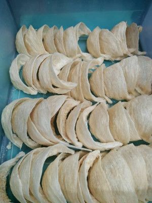 PREMIUM EDIBLE SWALLOW BIRD'S NEST (GRADE AAA)
