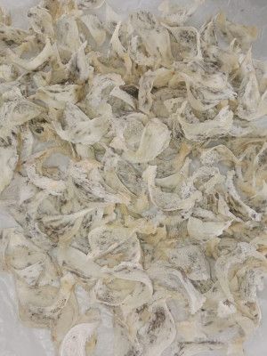PREMIUM EDIBLE SWALLOW BIRD'S NEST (GRADE AAA)