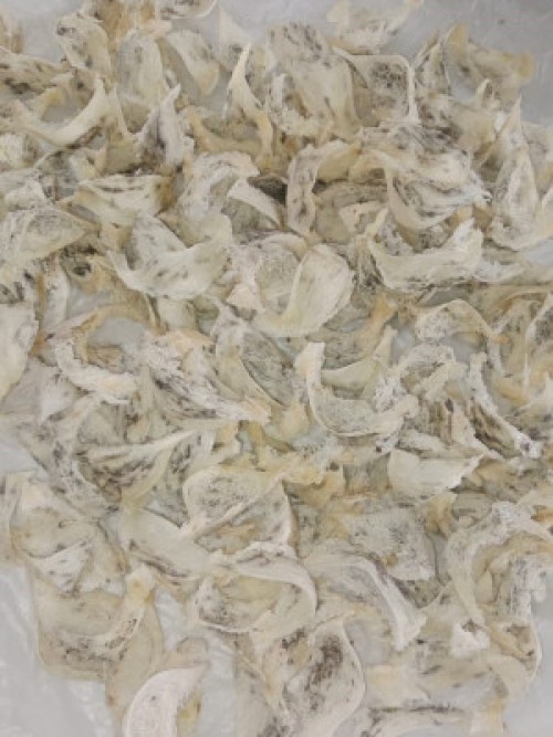 PREMIUM EDIBLE SWALLOW BIRD'S NEST (GRADE AAA)