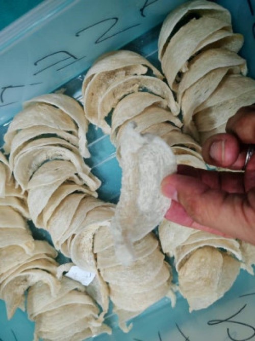 PREMIUM EDIBLE SWALLOW BIRD'S NEST (GRADE AAA)